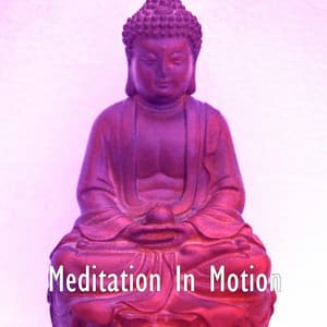 Meditation In Motion - Meditation Zen Master