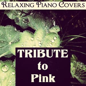 Tribute to Pink - Relaxing Piano Covers