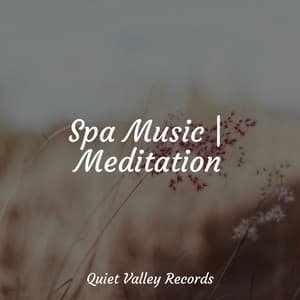 Spa Music | Meditation - Lullaby Rain