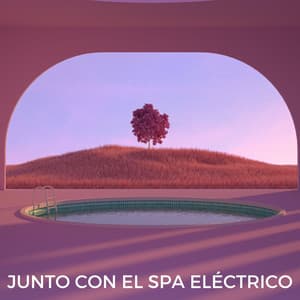 Junto Con El Spa Eléctrico - Ogablue