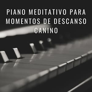 Huellas Armónicas: Piano Meditativo Para Momentos De Descanso Canino - Musicas de Piano Masters