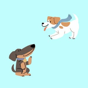 Fashionable Background for Puppy Play Hour - Dog Relaxation Music