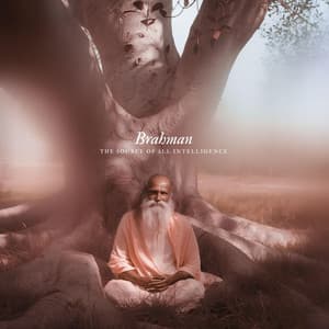 Brahman, The Source of All Intelligence - Hindi Band