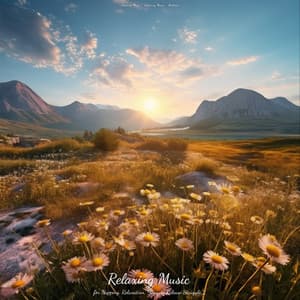 Relaxing Music for Napping, Relaxation, Yoga, to Release Struggle 2 - Sleeping Music