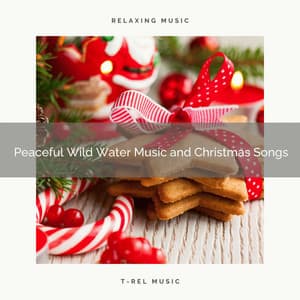 Peaceful Wild Water Music and Christmas Songs - Aquagirl