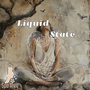 Liquid State - Spa Area
