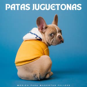 Patas Juguetonas: Música Para Mascotas Felices - Mascotas dormidas