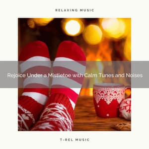 Rejoice Under a Mistletoe with Calm Tunes and Noises - Silent Night Sounds