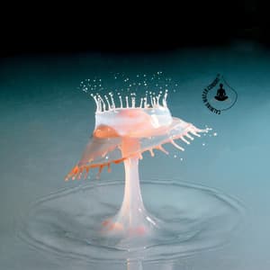 Surface of Starlit Waters - Calming Water Consort