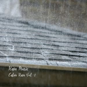 Rain Music: Cabin Rain Vol. 1 - Natures Acoustics