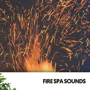 Fire Spa Sounds: Crackle and Serenity - Relajacion