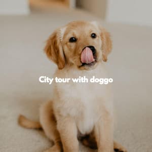 City tour with doggo - Dog Anxiety Music