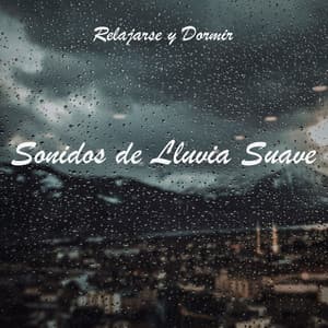 Relajarse y Dormir: Sonidos de Lluvia Suave - Lluvia Del Bosque