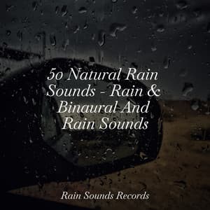 50 Natural Rain Sounds - Rain & Binaural And Rain Sounds - Nature Sound Collection