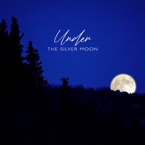 Under the Silver Moon - Relaxing Music Master