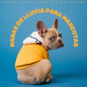 Nanas De Lluvia Para Mascotas: Luego De Un Largo Día De Juegos - Descansa