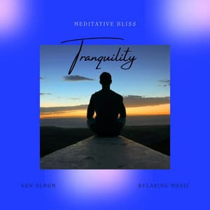 Tranquility - Meditative Bliss