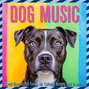 Dog Music: Sweet Dreams Pet Tunes for Calming Anxiety and Insomnia - Relaxmydog