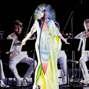 Vulnicura Strings - Björk