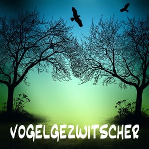Vogelgezwitscher - Vogelgezwitscher