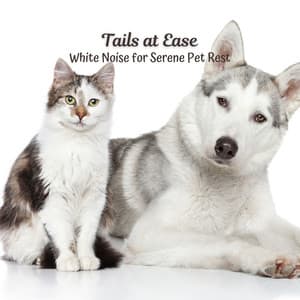 Tails at Ease: White Noise for Serene Pet Rest - Soothing White Noise for Relaxation