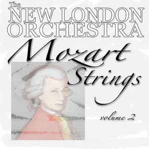 Mozart Strings Volume Two - The New London Orchestra
