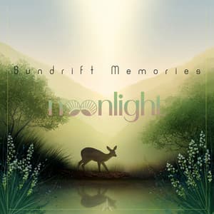 Sundrift Memories - Noonlight