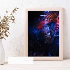 Peaceful Music for Quiet Day Moods - No Drums Jazz - Happy Afternoon Music