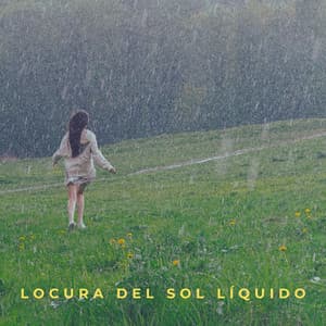 Locura Del Sol Líquido - Muestreo de lluvia profunda