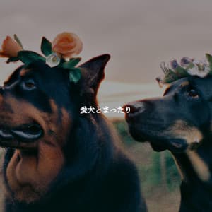 愛犬とまったり - Morgen Jazz Ambiente