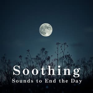 Soothing Sounds to End the Day - Hugo Focus