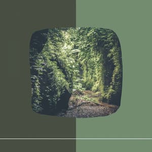 Elegant Ambiance for Mental Recharging - Trabajar desde Casa Clásicos