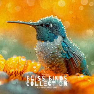 Bliss Birds Collection - Bird Sound Collectors