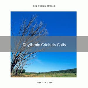 1 Rhythmic Crickets Calls - Sleep Crickets