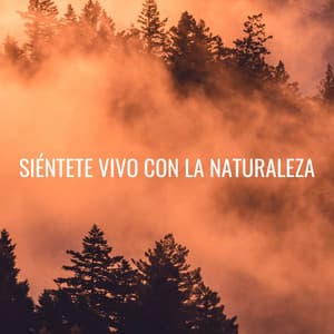 Siéntete Vivo Con La Naturaleza - Ruido de la naturaleza