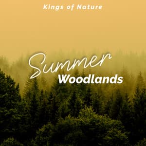 Summer Woodlands - Kings of Nature