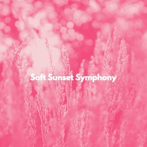 Soft Sunset Symphony - Jazz Classique