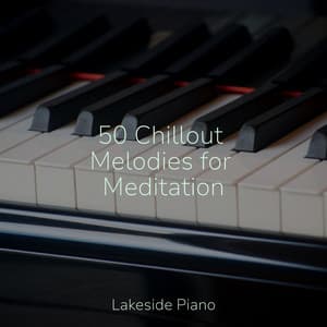 50 Chillout Melodies for Meditation - SD