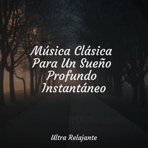 Música Clásica Para Un Sueño Profundo Instantáneo - Massagem Música