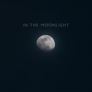 In the Moonlight: Relaxing Evening with Bossa Nova Lounge Music - Good Mood Music Academy
