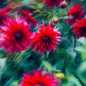 1 Life: Understanding Purpose - Relaxing Music Therapy