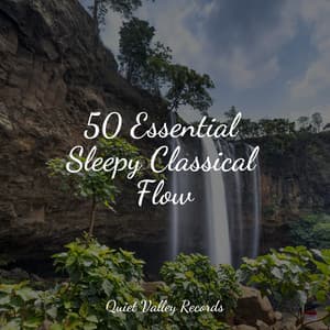 50 Essential Sleepy Classical Flow - Rain Sounds Rain
