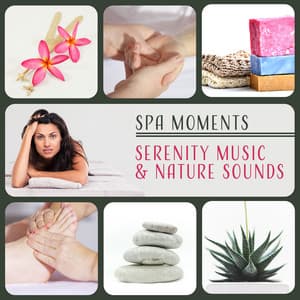 Spa Moments – Serenity Music & Nature Sounds for Relaxation Meditation, Anti - Wellness Sounds Relaxation Paradise
