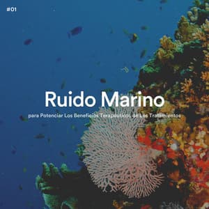 #01 Ruido Marino para Potenciar Los Beneficios Terapéuticos de Los Tratamientos - Olas del Mar