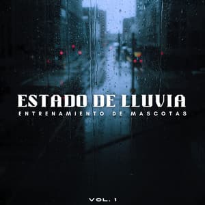 Estado De Lluvia: Entrenamiento De Mascotas Vol. 1 - Sonido de lluvia