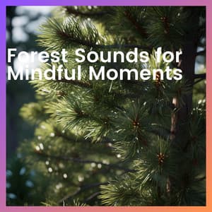 Forest Sounds for Mindful Moments - Forest Sounds Channel