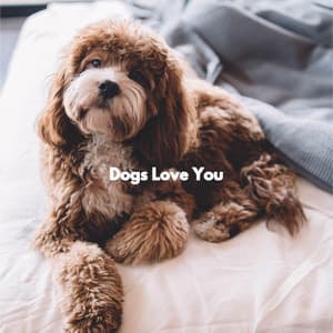 Dogs Love You - Calma Música para Perros