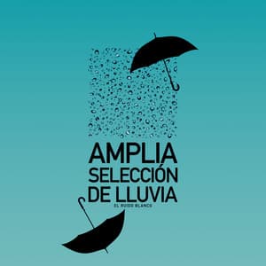 Amplia selección de lluvia - El Ruido Blanco