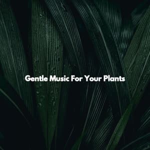 Gentle Music For Your Plants - Jazz Chillax