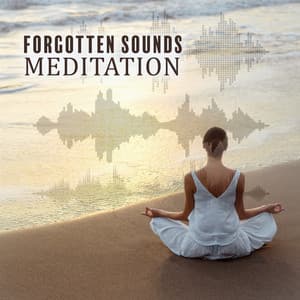 Forgotten Sounds Meditation: Absolute Sounds for Best Experience - Relaxing Meditation Music Zone